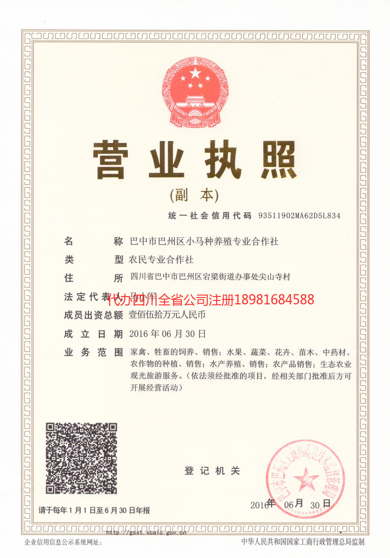 五大连池五大连池小马种养殖专业合作社